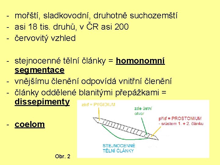 - mořští, sladkovodní, druhotně suchozemští - asi 18 tis. druhů, v ČR asi 200