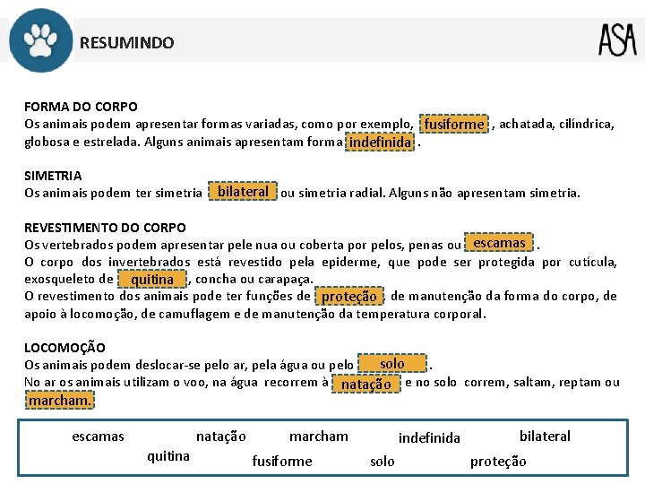 RESUMINDO FORMA DO CORPO Os animais podem apresentar formas variadas, como por exemplo, fusiforme