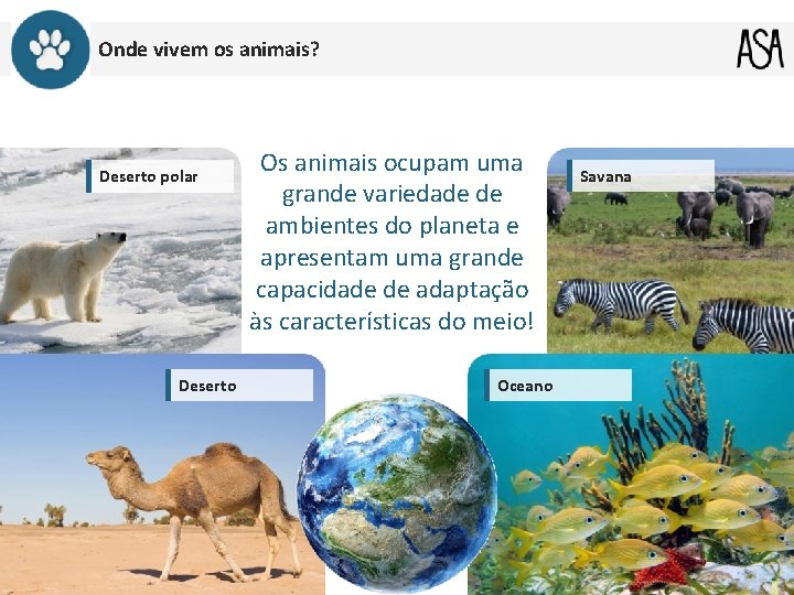 Onde vivem os animais? Deserto polar Deserto Os animais ocupam uma grande variedade de