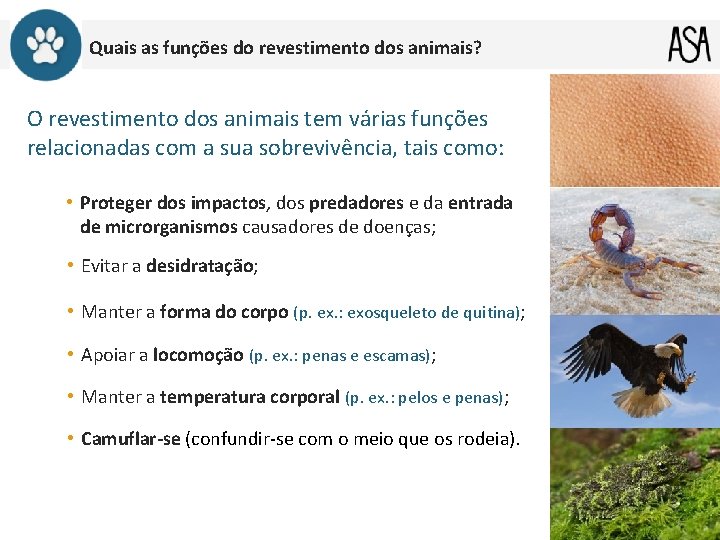 Quais as funções do revestimento dos animais? O revestimento dos animais tem várias funções