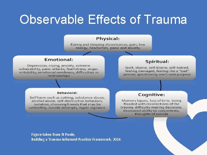 Observable Effects of Trauma Figure taken from N Poole, Building a Trauma-Informed Practice Framework,