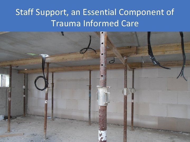 Staff Support, an Essential Component of Trauma Informed Care 