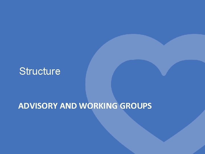 Structure ADVISORY AND WORKING GROUPS 