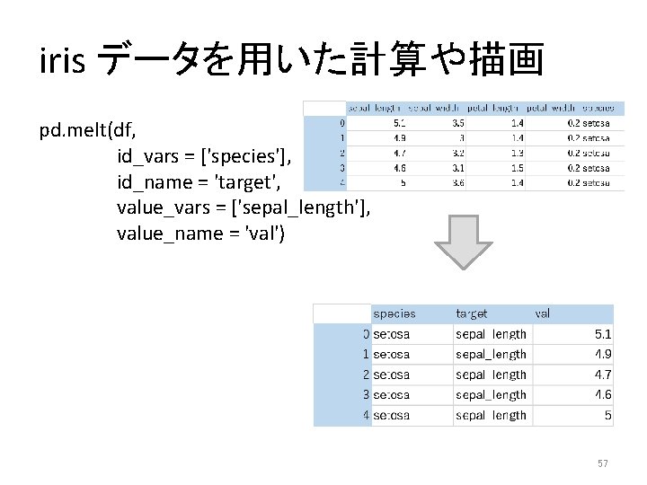 iris データを用いた計算や描画 pd. melt(df, id_vars = ['species'], id_name = 'target', value_vars = ['sepal_length'], value_name