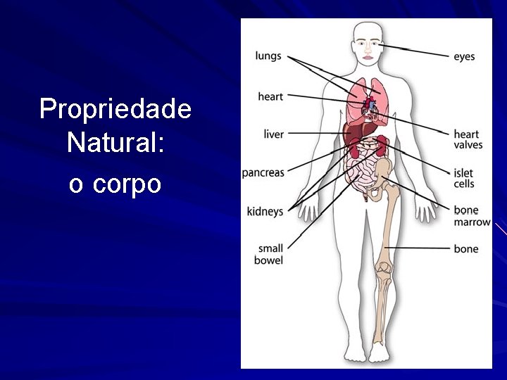 Propriedade Natural: o corpo 