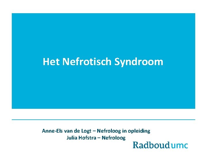 Het Nefrotisch Syndroom Anne-Els van de Logt – Nefroloog in opleiding Julia Hofstra –