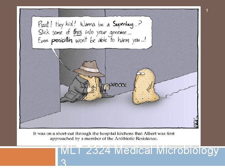 1 MLT 2324 Medical Microbiology 3 