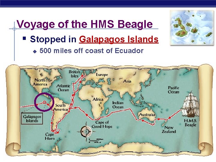 Voyage of the HMS Beagle § Stopped in Galapagos Islands u AP Biology 500