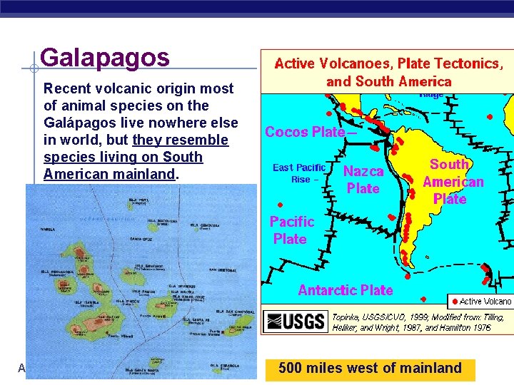 Galapagos Recent volcanic origin most of animal species on the Galápagos live nowhere else