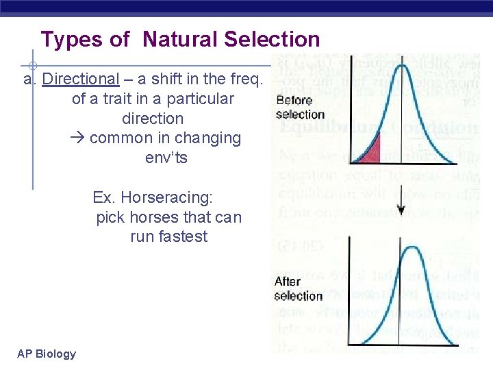 Types of Natural Selection a. Directional – a shift in the freq. of a