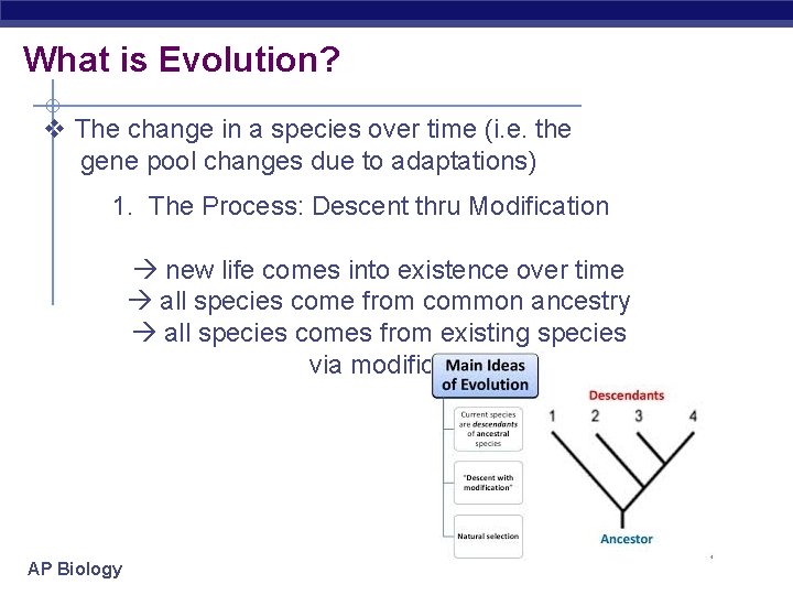 What is Evolution? v The change in a species over time (i. e. the