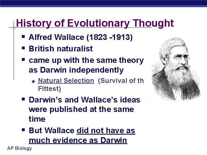 History of Evolutionary Thought § Alfred Wallace (1823 -1913) § British naturalist § came