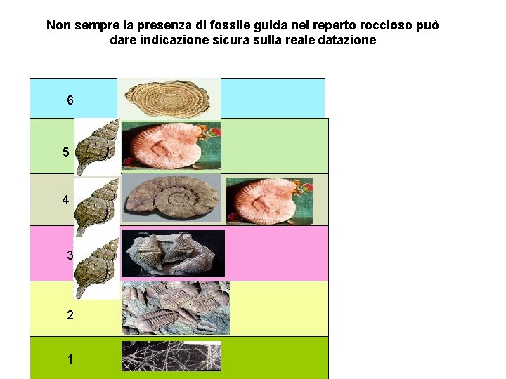 Non sempre la presenza di fossile guida nel reperto roccioso può dare indicazione sicura