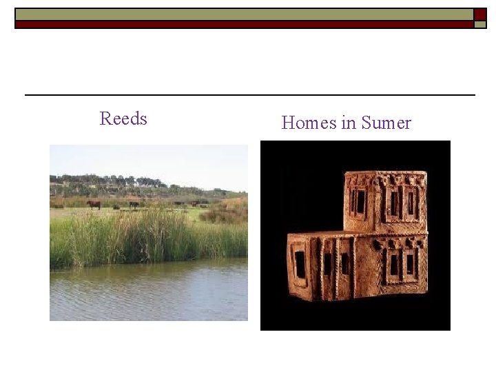 Reeds Homes in Sumer 