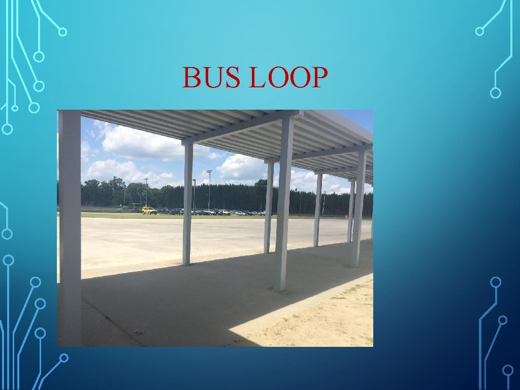 BUS LOOP BUS LOOP