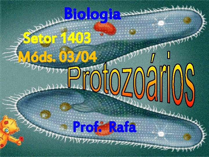 Biologia Setor 1403 Móds. 03/04 Prof. Rafa 