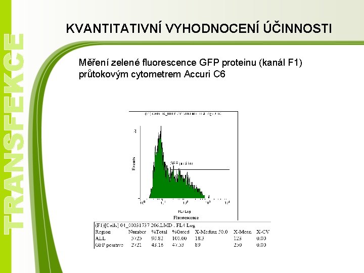 TRANSFEKCE KVANTITATIVNÍ VYHODNOCENÍ ÚČINNOSTI Měření zelené fluorescence GFP proteinu (kanál F 1) průtokovým cytometrem