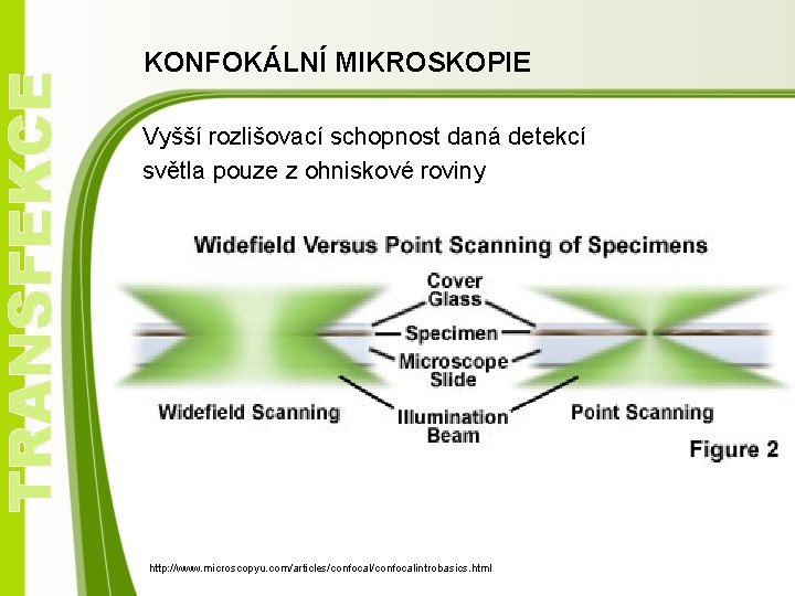 TRANSFEKCE KONFOKÁLNÍ MIKROSKOPIE Vyšší rozlišovací schopnost daná detekcí světla pouze z ohniskové roviny http: