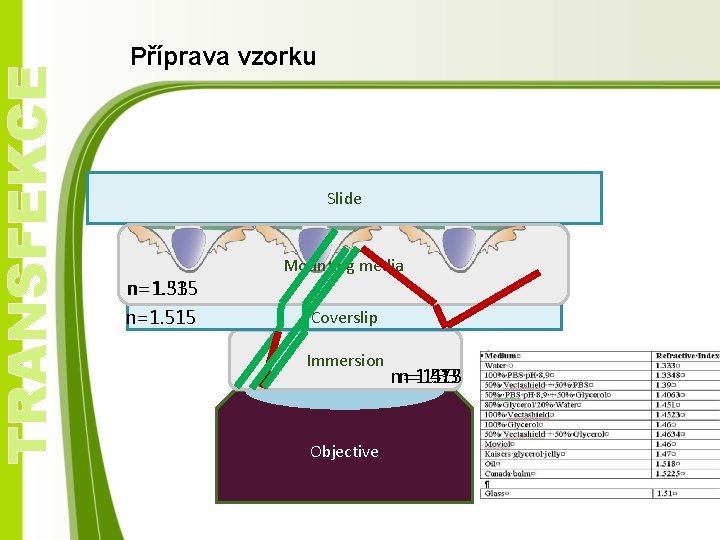 TRANSFEKCE Příprava vzorku Slide Mounting media n=1. 515 n=1. 33 n=1. 515 Coverslip Immersion