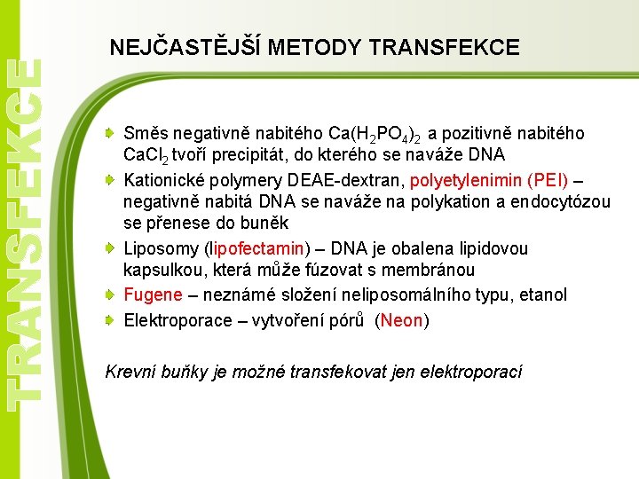 TRANSFEKCE NEJČASTĚJŠÍ METODY TRANSFEKCE Směs negativně nabitého Ca(H 2 PO 4)2 a pozitivně nabitého