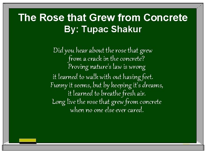 The Rose that Grew from Concrete By: Tupac Shakur Did you hear about the