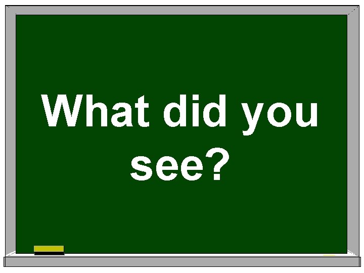 What did you see? 