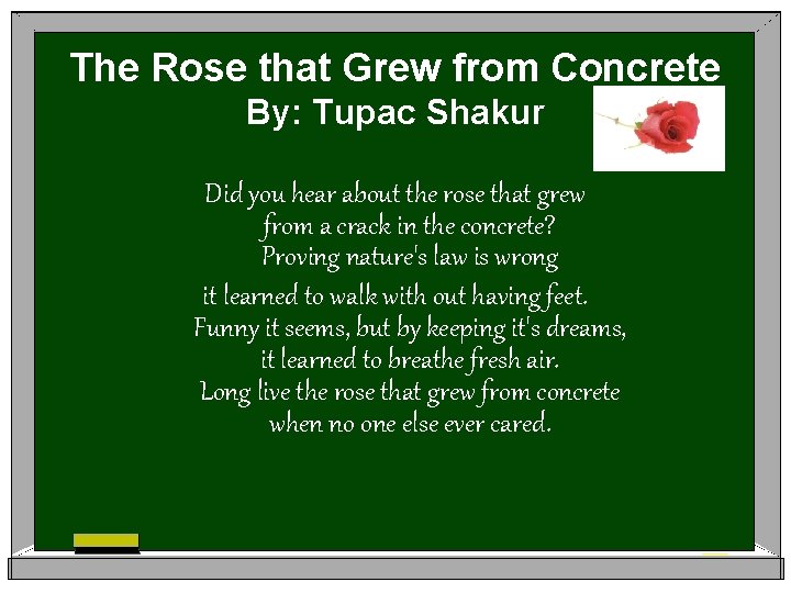 The Rose that Grew from Concrete By: Tupac Shakur Did you hear about the