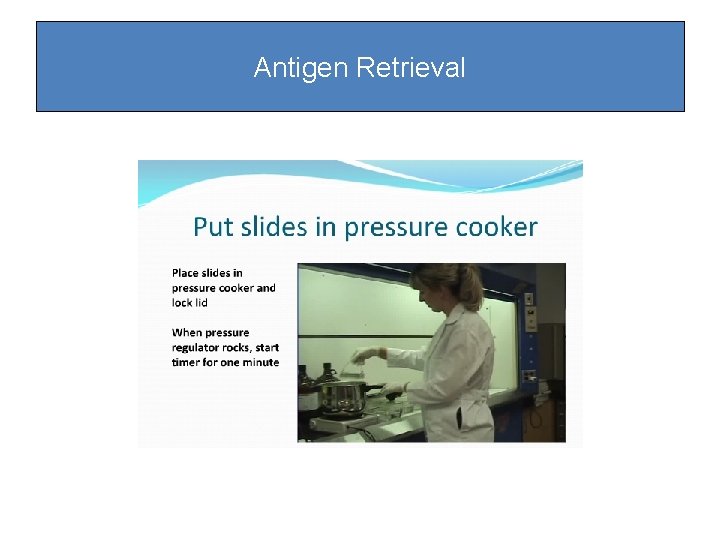 Antigen Retrieval Antigen Retrieval