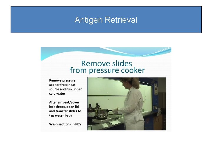 Antigen Retrieval Antigen Retrieval