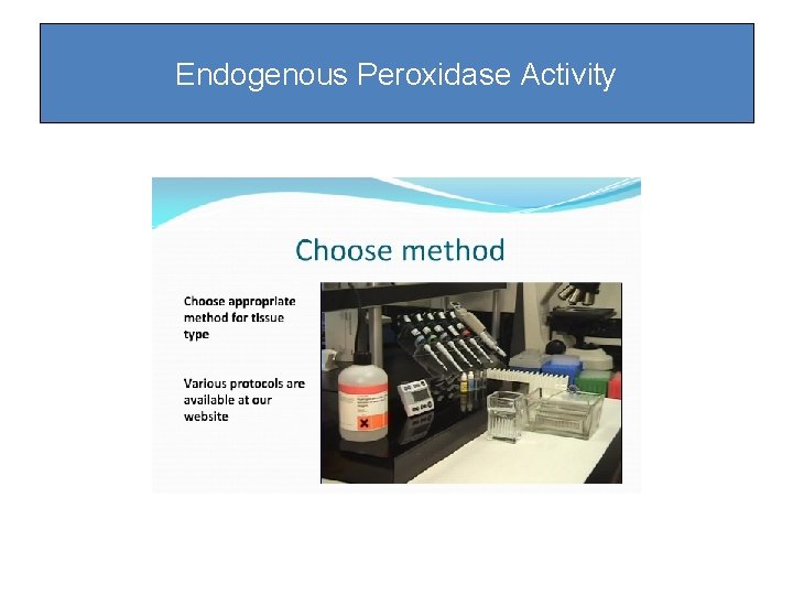 Endogenous Peroxidase Activity Endogenous Peroxidase Activity