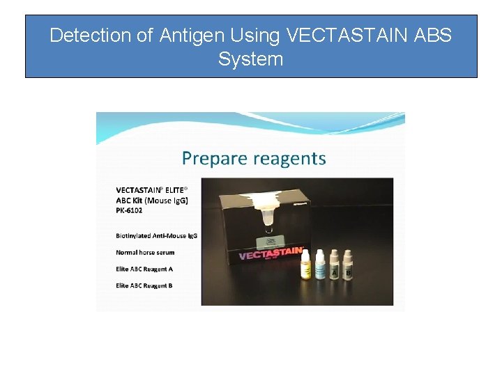 Detection of Antigen Using VECTASTAIN ABS System Detection of Antigen Using VECTASTAIN ABS System