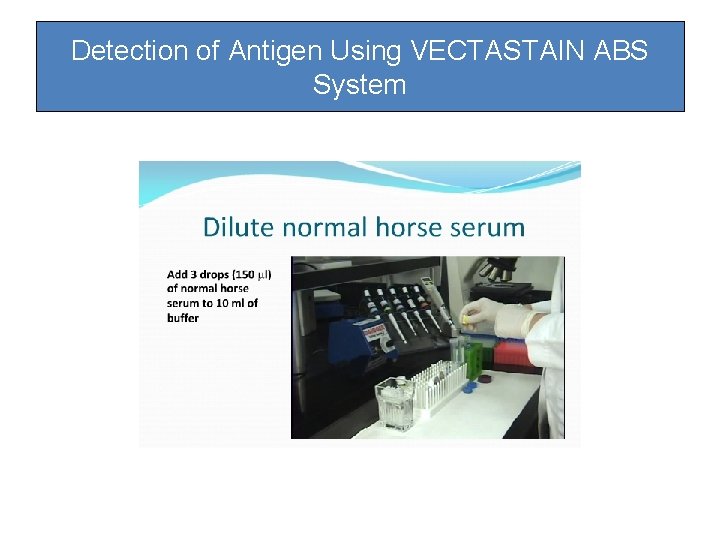 Detection of Antigen Using VECTASTAIN ABS System Detection of Antigen Using VECTASTAIN ABS System