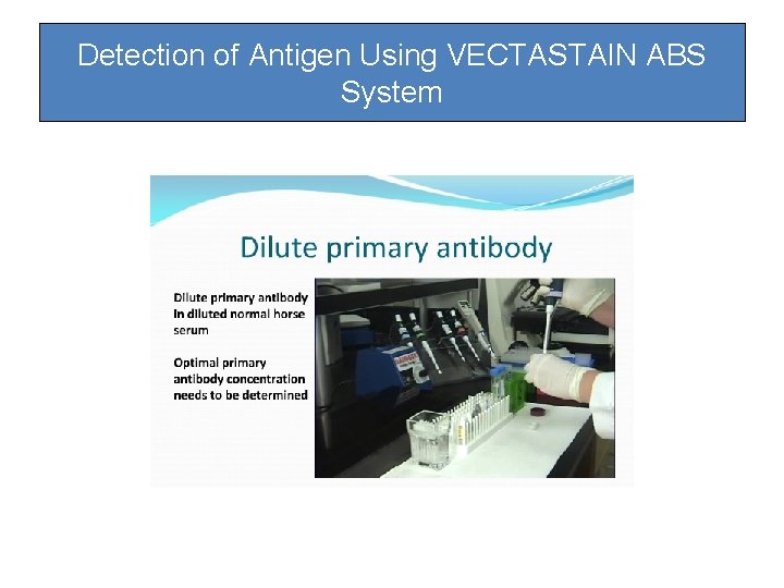 Detection of Antigen Using VECTASTAIN ABS System Detection of Antigen Using VECTASTAIN ABS System