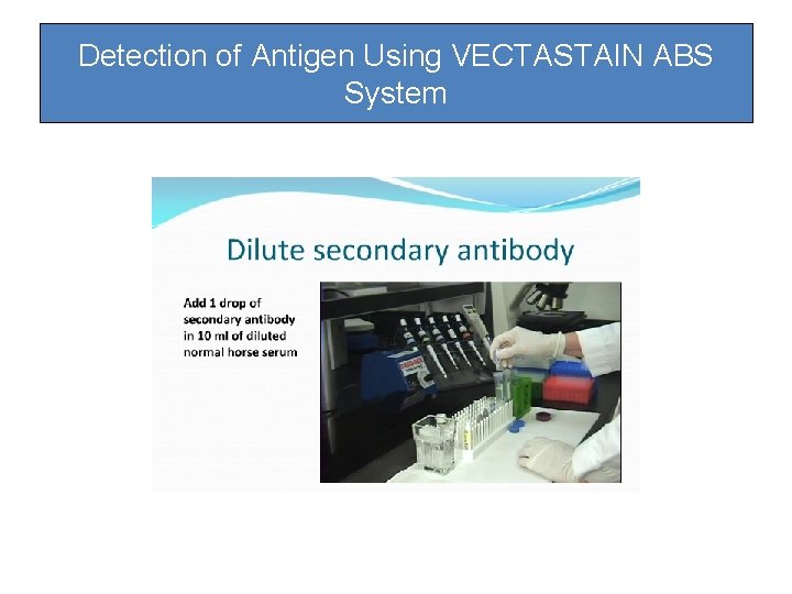 Detection of Antigen Using VECTASTAIN ABS System Detection of Antigen Using VECTASTAIN ABS System