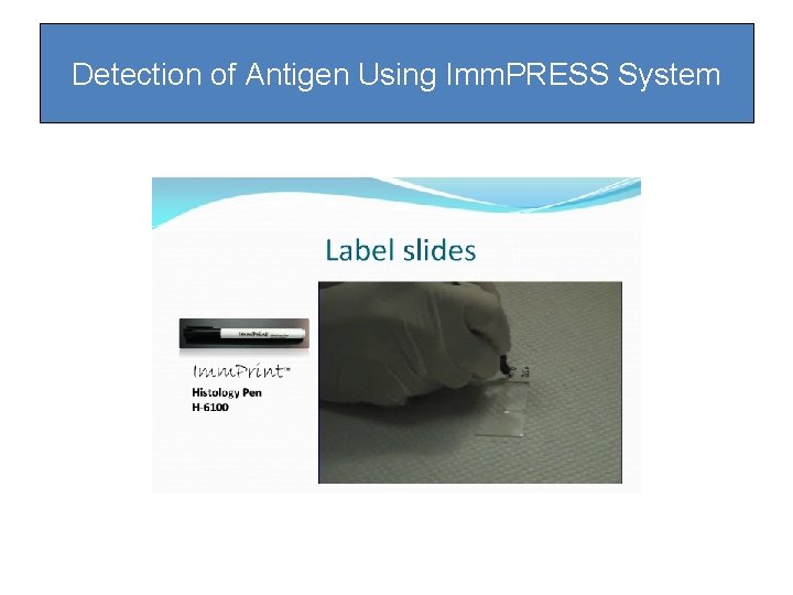 Detection of Antigen Using Imm. PRESS System Detection of Antigen Using Imm. PRESS System