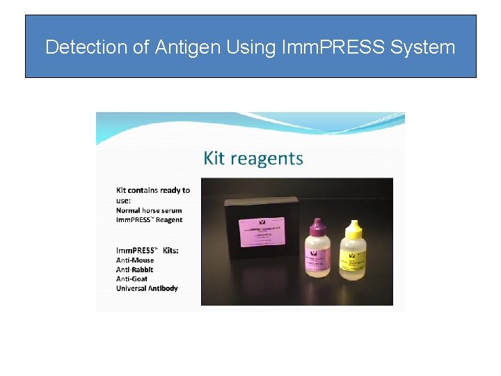 Detection of Antigen Using Imm. PRESS System Detection of Antigen Using Imm. PRESS System