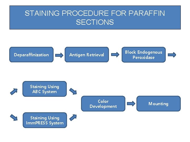 STAINING PROCEDURE FOR PARAFFIN SECTIONS Deparaffinization Antigen Retrieval Block Endogenous Peroxidase Staining Using ABC STAINING PROCEDURE FOR PARAFFIN SECTIONS Deparaffinization Antigen Retrieval Block Endogenous Peroxidase Staining Using ABC