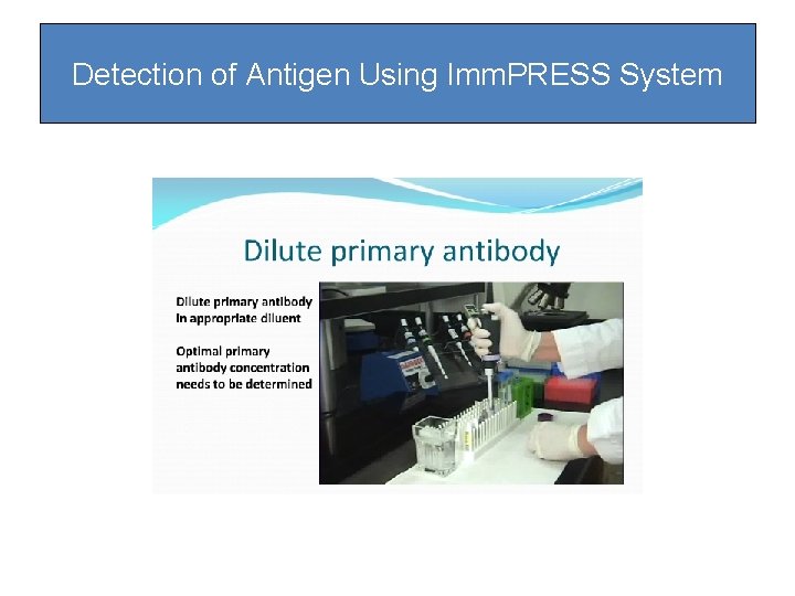 Detection of Antigen Using Imm. PRESS System Detection of Antigen Using Imm. PRESS System