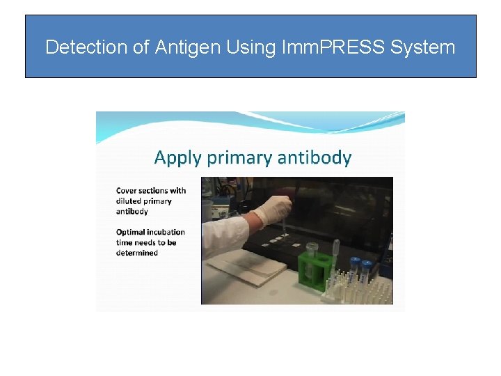 Detection of Antigen Using Imm. PRESS System Detection of Antigen Using Imm. PRESS System