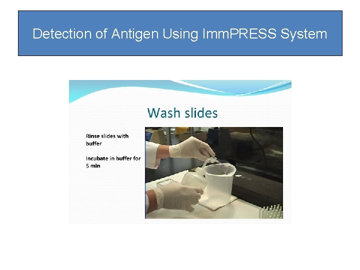 Detection of Antigen Using Imm. PRESS System Detection of Antigen Using Imm. PRESS System