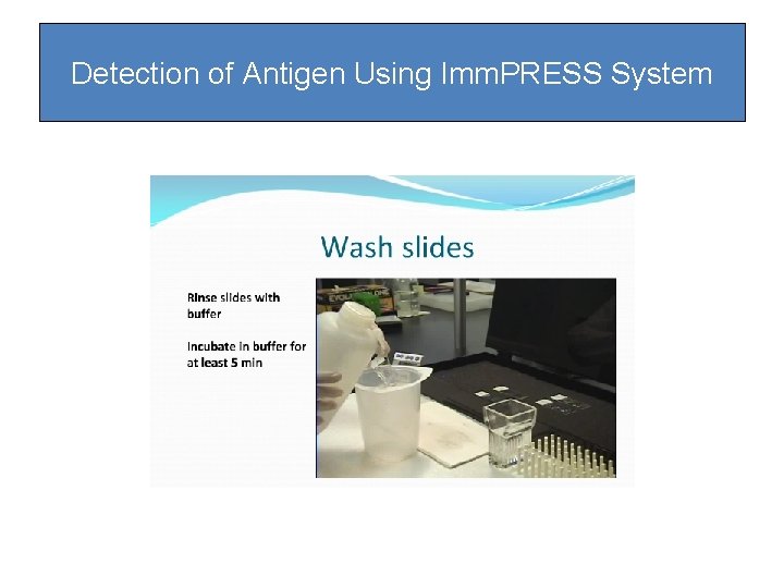 Detection of Antigen Using Imm. PRESS System Detection of Antigen Using Imm. PRESS System