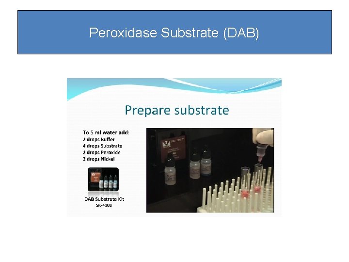 Peroxidase Substrate (DAB) Peroxidase Substrate (DAB)