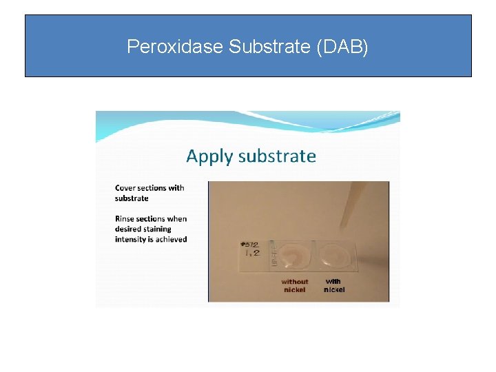 Peroxidase Substrate (DAB) Peroxidase Substrate (DAB)