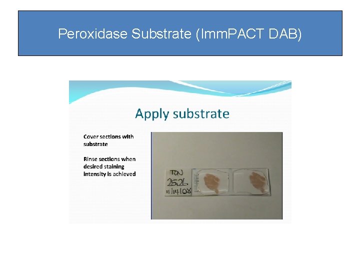 Peroxidase Substrate (Imm. PACT DAB) Peroxidase Substrate (Imm. PACT DAB)