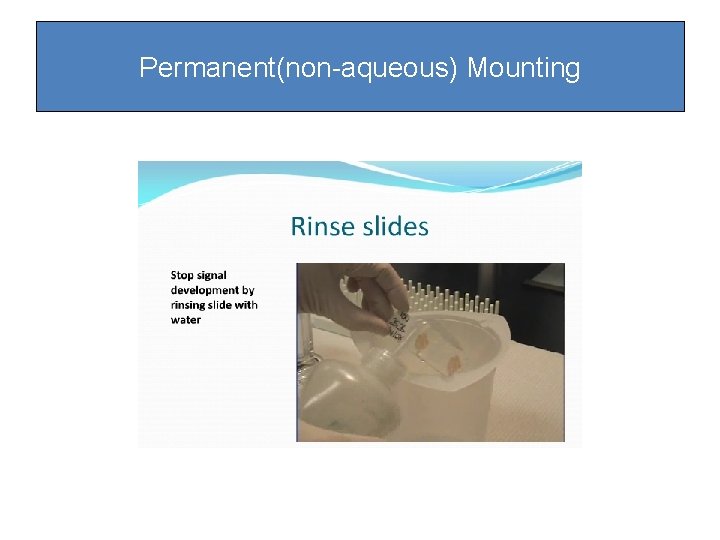 Permanent(non-aqueous) Mounting Permanent(non-aqueous) Mounting