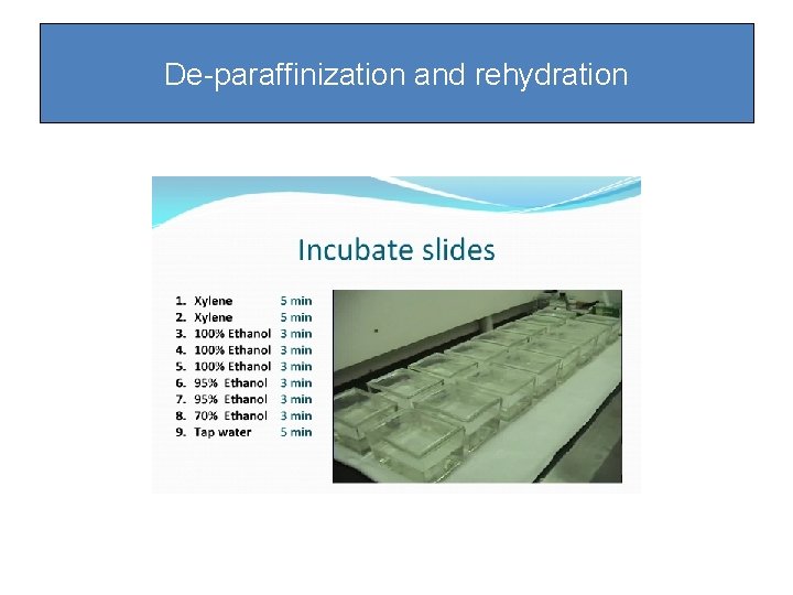 De-paraffinization and rehydration De-paraffinization and rehydration