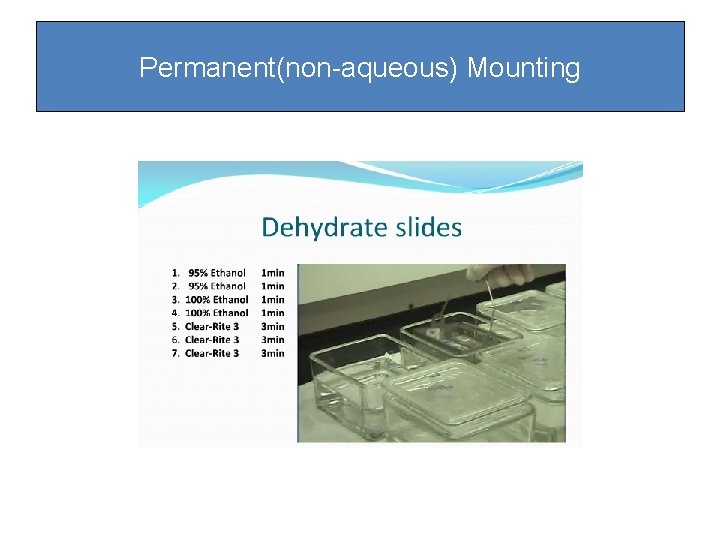 Permanent(non-aqueous) Mounting Permanent(non-aqueous) Mounting