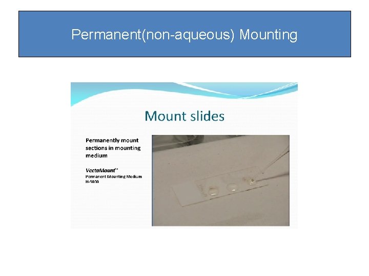 Permanent(non-aqueous) Mounting Permanent(non-aqueous) Mounting