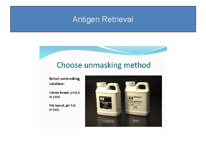 Antigen Retrieval Antigen Retrieval
