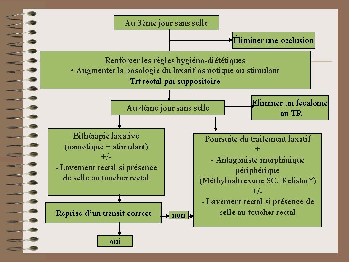 Au 3ème jour sans selle Éliminer une occlusion Renforcer les règles hygiéno-diététiques • Augmenter Au 3ème jour sans selle Éliminer une occlusion Renforcer les règles hygiéno-diététiques • Augmenter